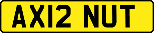 AX12NUT