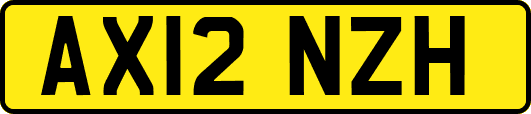 AX12NZH