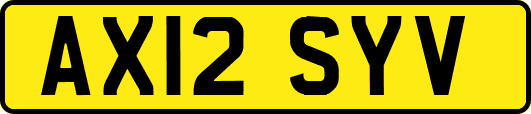 AX12SYV