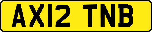 AX12TNB