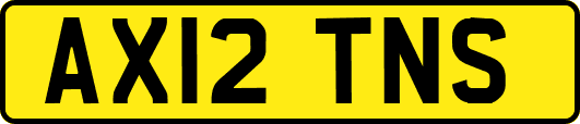 AX12TNS