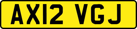 AX12VGJ