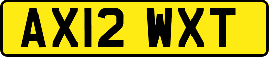 AX12WXT