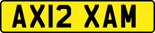 AX12XAM
