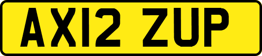 AX12ZUP