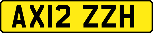 AX12ZZH