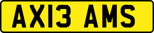 AX13AMS