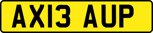 AX13AUP