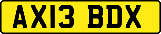 AX13BDX