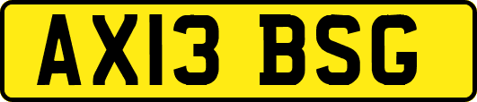 AX13BSG