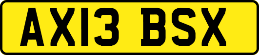 AX13BSX
