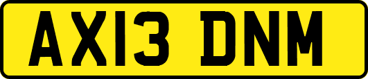 AX13DNM