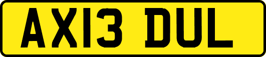 AX13DUL