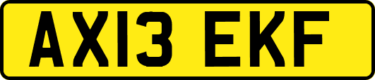 AX13EKF