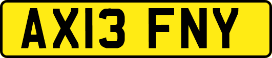 AX13FNY