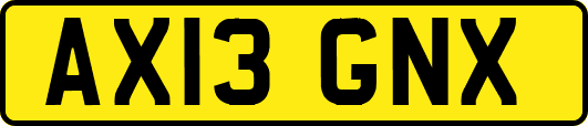 AX13GNX