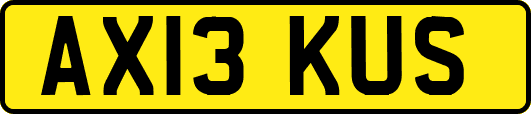 AX13KUS