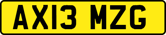 AX13MZG