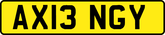 AX13NGY