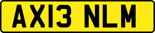 AX13NLM