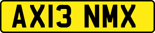 AX13NMX