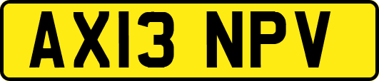 AX13NPV