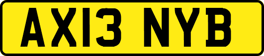 AX13NYB
