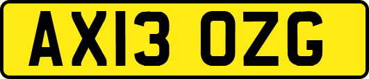 AX13OZG
