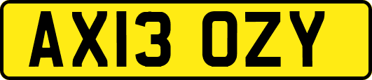 AX13OZY