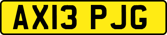 AX13PJG