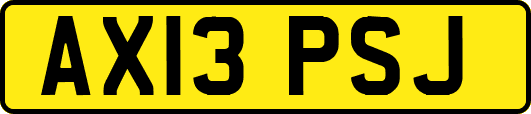 AX13PSJ