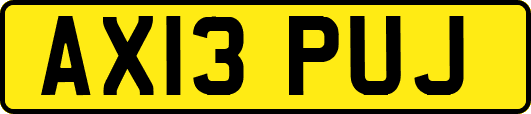 AX13PUJ