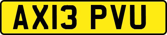 AX13PVU