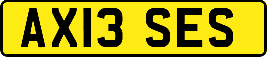 AX13SES