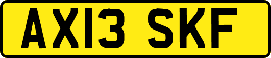 AX13SKF