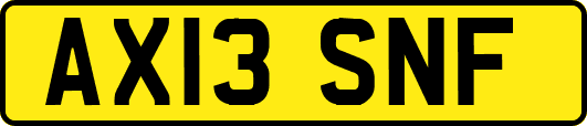 AX13SNF