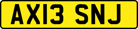 AX13SNJ
