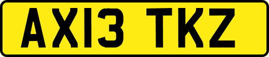 AX13TKZ