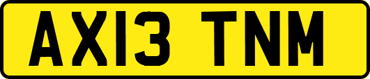 AX13TNM