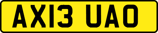 AX13UAO