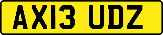AX13UDZ