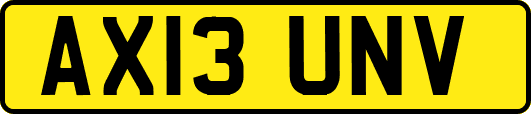 AX13UNV
