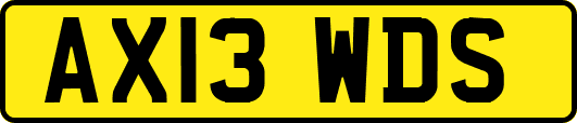 AX13WDS