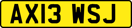 AX13WSJ