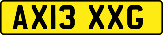 AX13XXG