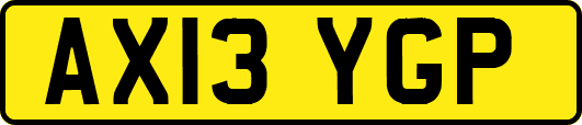 AX13YGP