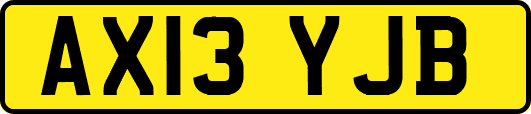 AX13YJB