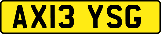 AX13YSG