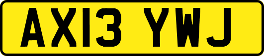 AX13YWJ