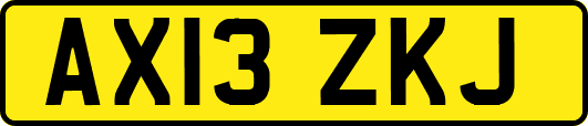 AX13ZKJ